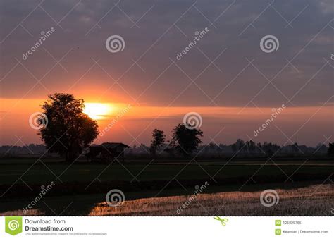 Morning Sunrise With Cottage Near Tree Stock Image Image Of