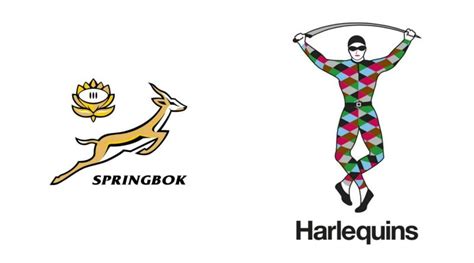Springboks Star Lock Headed To Harlequins Sportnow