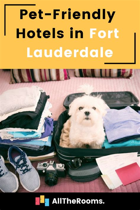 Best Pet Friendly Hotels In Fort Lauderdale Alltherooms The