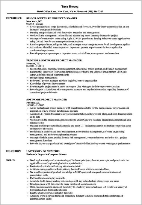 Software Project Manager Resume India Resume Example Gallery
