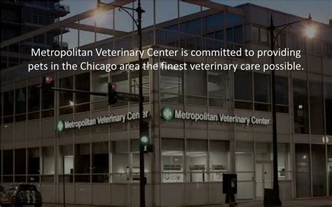 Ppt The Finest Emergency Veterinary Services And Care In Chicago