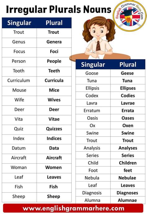 Irregular Plurals Definitions List And Example Sentences English Grammar Here Irregular