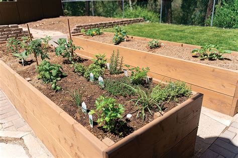 Start A Simple Kitchen Garden Now San Diego Homegarden Lifestyles