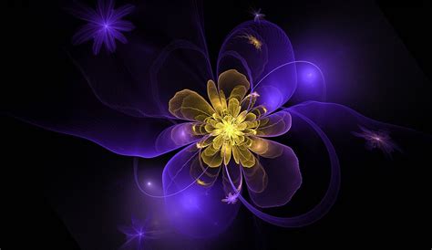 Fractal Flower Floral Free Image On Pixabay