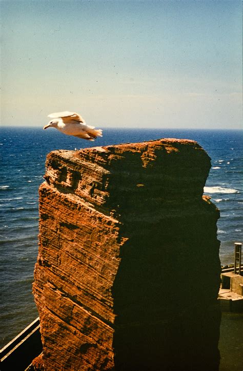 Der freistehende felsen „lange anna ist das wahrzeichen der deutschen nordseeinsel helgoland. Helgoland Lange Anna | 1972 | Jürgen Thome | Flickr