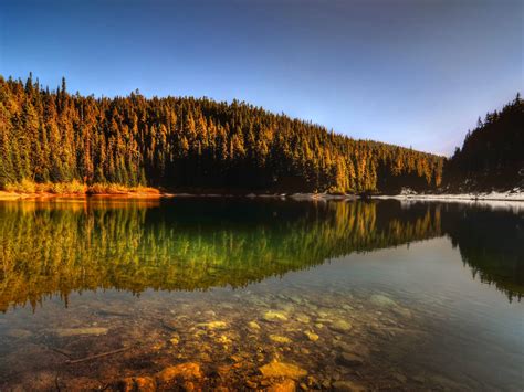 forest-lake-reflection-wallpaper-2560x1600-wallpapers13-com