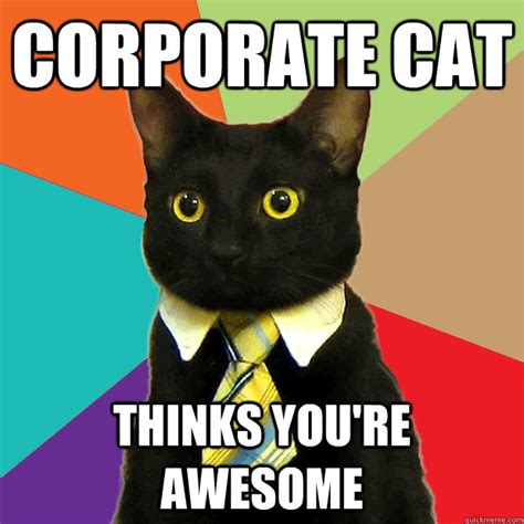Corporate Cat Thinks Youre Awesome Business Cat Quickmeme