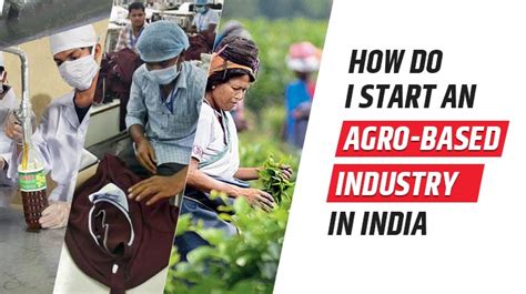 Top 6 Agro Based Industries In India Types Importance And Scenario 2022