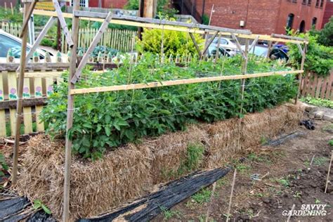 Straw Bale Gardening Learn How To Grow Vegetables In Straw Bales