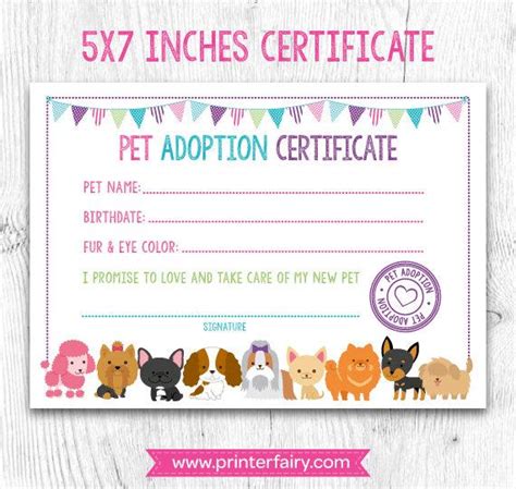 If you're looking to adopt please reach out to me. Pet Adoption Certificate Pet Adoption Birthday Party Puppy