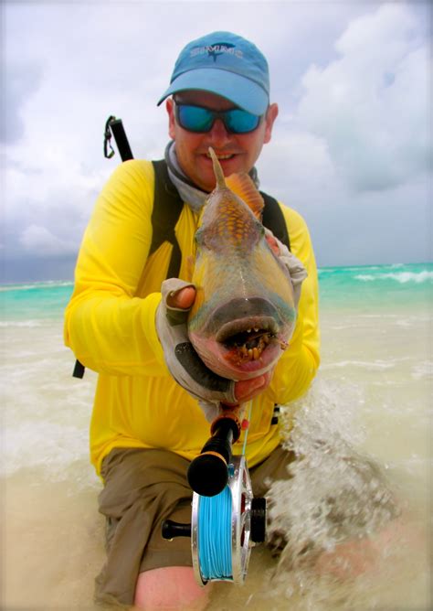 Fy Fishing In The Maldives Fly Odyssey Blog