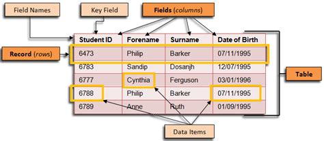 What Are The Components Of A Relational Database Management System