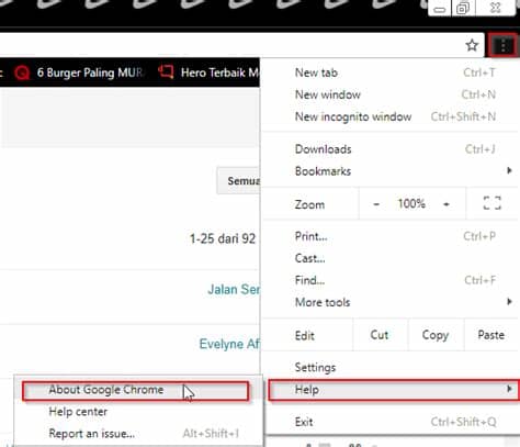 Kamu bisa berfoto dengan kamea depan belakang dengan menggunakan aplikasi ini dan fiturnya yang canggih agar hasil fotomu sangat keren dan menakjubkan. #4 Cara Update Google Chrome Dengan Mudah - NEWBIE CODE NEWS