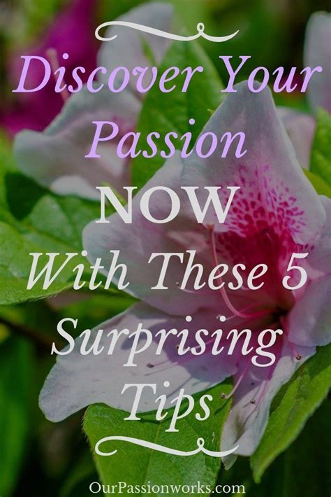 Discover Your Passion Now With These 5 Surprising Tips Discover