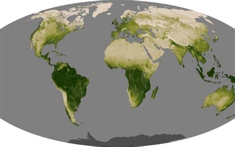 Earth Stopped Getting Greener 20 Years Ago Scientific American