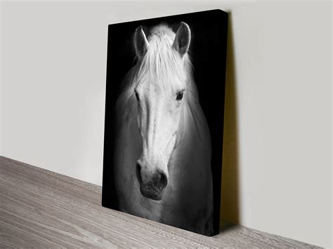 White Horse Black And White Photography Canvas Art Print