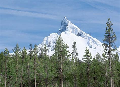 Mt Thielsen In The Oregon Cascadesoregon Cascades Picture