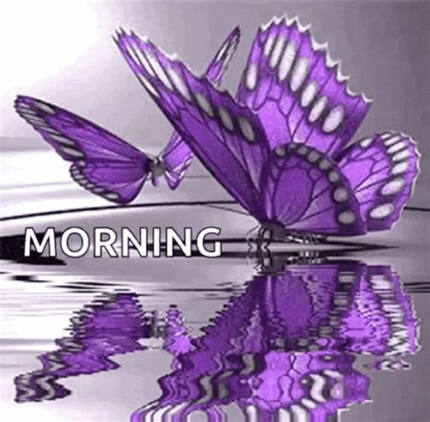 Purple Butterfly Morning Greetings 