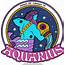 Aquarius Whats Your Sign  Nosetouch Press