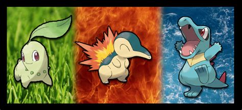 If you enjoyed any of the previous pokemon generations, this purchase is a must. Pokemon starter guide: Gold and Silver part one | Top Tier ...