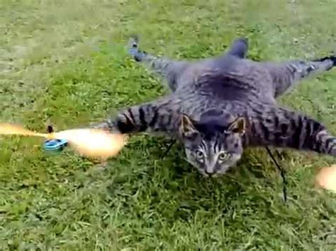 Man Turns Cat Into Drone