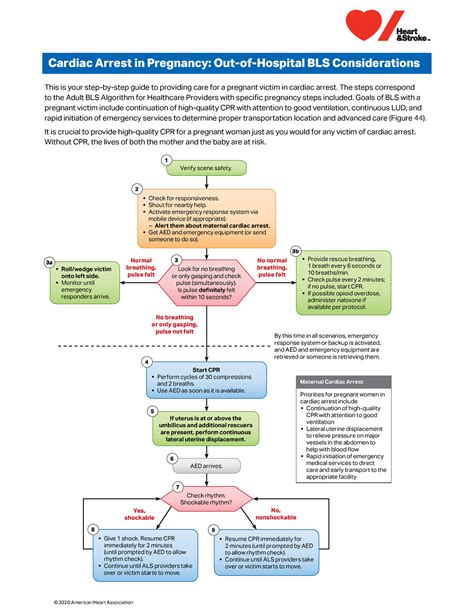 Adult Bls In Pregnancy Algorithm For Healthcare Providers Cardiac