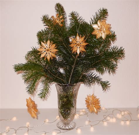 Free Images Branch Star Golden Fir Christmas Tree Twig