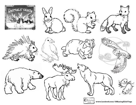 Arctic Animals Coloring Pages At Free Printable