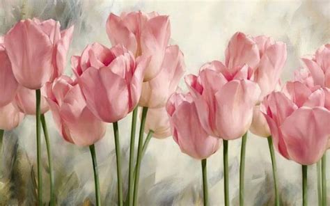 Soft Pink Tulips Wallpaper Colorful Wallpaper Better