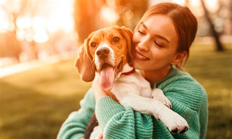 Mascotas Conoce Cu Les Son Las Etapas M S Importantes De La Vida De Tu