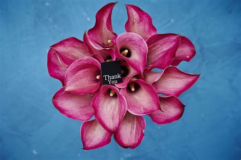 A Pink Flower With The Words Thank You Written On It