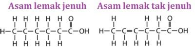 Lemak Jenuh Dan Tak Jenuh Newstempo