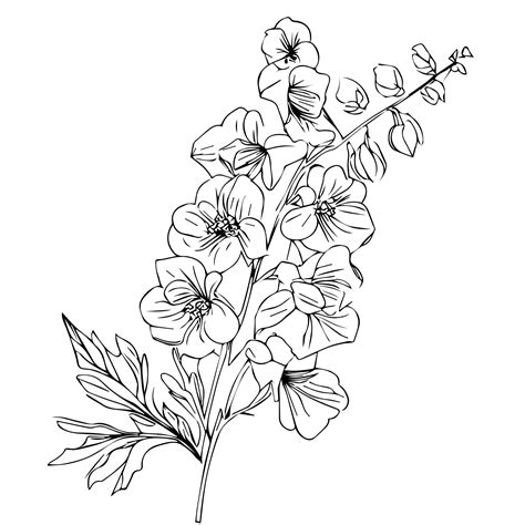 Premium Vector | Black july birth flower larkspur tattoo scientific