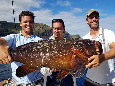 Book The Best Big Game Fishing Charter Experience In Azores Dream Of