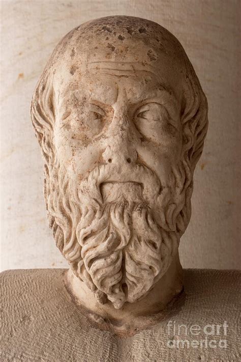 Herodotus Photograph By David Parkerscience Photo Library