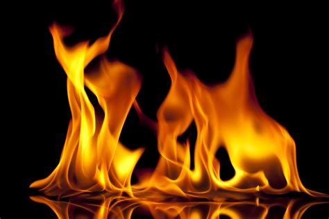 Complete the nfpa kids challenges and you will become an official member of sparky's fire safety club. The meaning and symbolism of the word - «Fire»