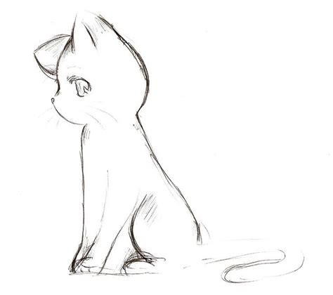 Untitled Cute Anime Cat Drawings Cat Sketch