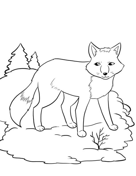 A polar bear, fox, seal, penguin, and owl are included in this set. FREE Artic Fox Coloring Page for Kids. #winter coloring ...