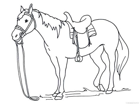 Appaloosa Horse Coloring Pages Printable Coloring Pages