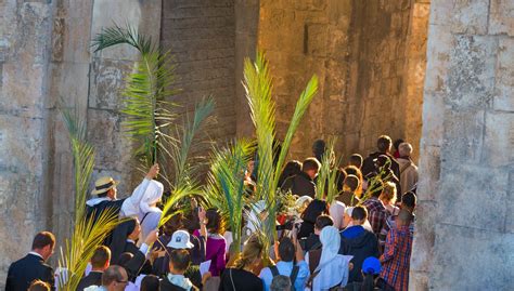 Palm Sunday In The Holy Land Mccabe Pilgrimages