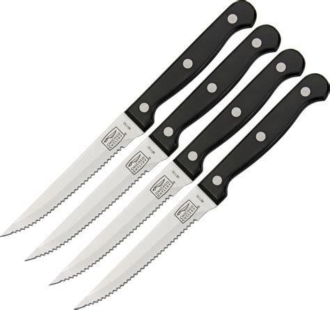 Chicago Cutlery C01393 Essentials Steak Knife Set