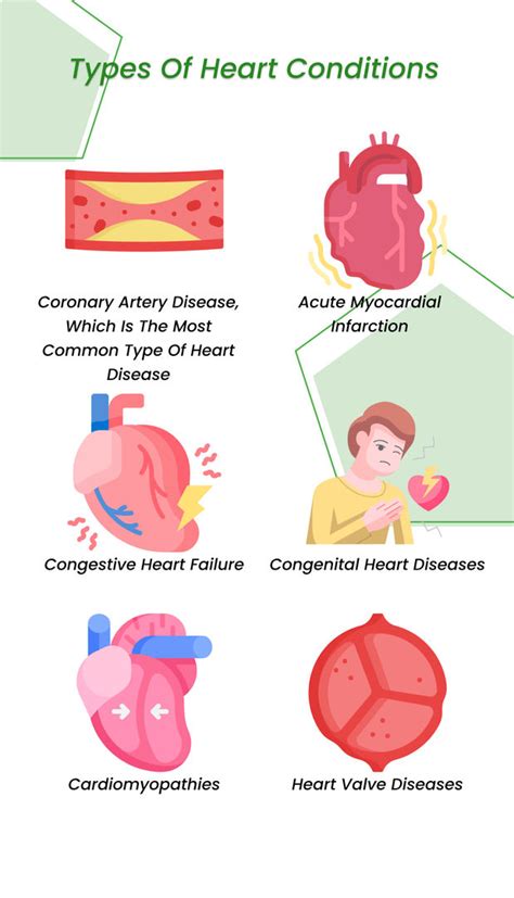 Stem Cell Therapy For Heart Disease 2023 All You Need To Know