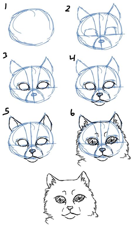 How To Draw Cat Facesheads Front View How To Draw Animals In 2019