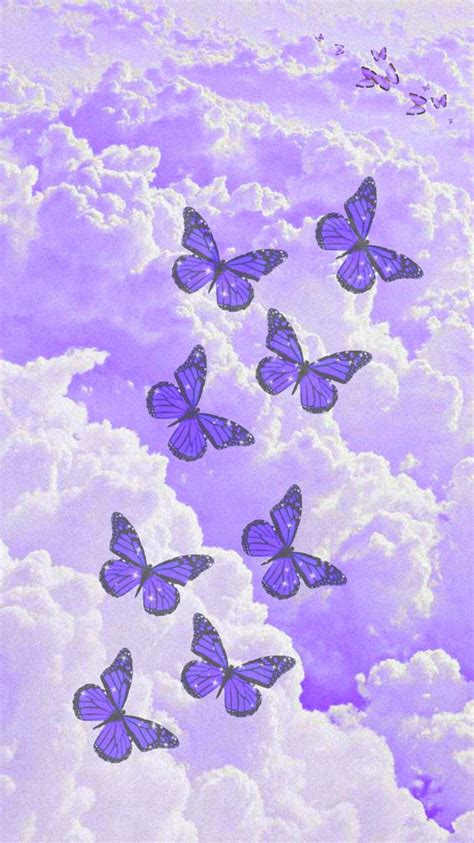 Cute Purple Butterfly Wallpaper