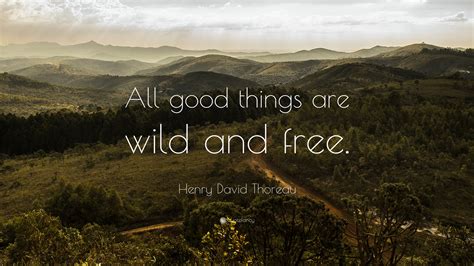 Imitation is the highest form of flattery if you wanna know something ask. Henry David Thoreau Quote: "All good things are wild and free." (22 wallpapers) - Quotefancy