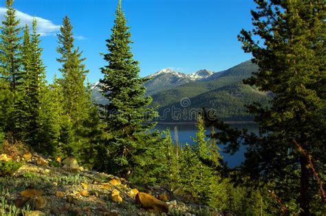 Turquoise Lake In The Colorado Rockies Stock Photo Image Of North