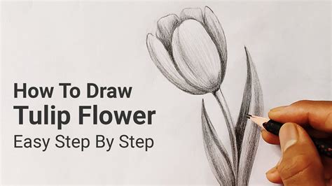 How To Draw Tulip Flower Easy Step By Step Nature Drawing Lesson 3
