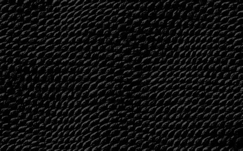 Wallpaper Black Wallpapers