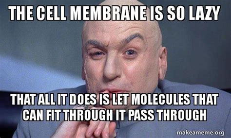 The Cell Membrane Is So Lazy That All It Does Is Let Molecules That Can
