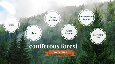 Coniferous Forest Biome Concept Map By Maggie Martin